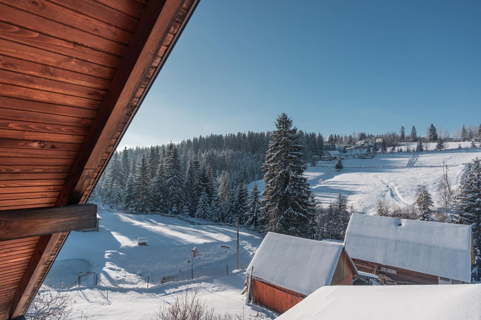 Hotel Гостьовий Дім "У Ані" Jablunycja Exteriér fotografie